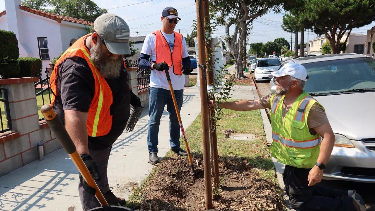 In collaboration with TreePeople, AEG employees gathered at Huntington Park for a morning of urban forestry.