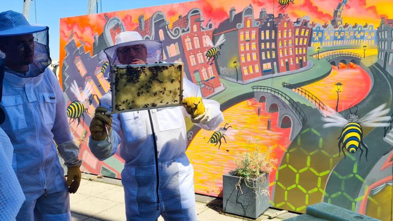 beekeepers