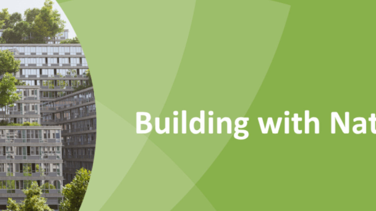 "Building with Nature"