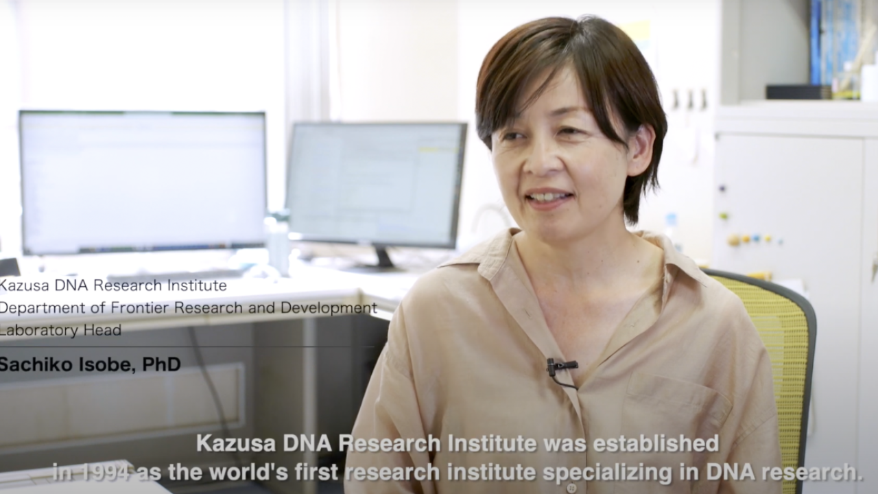 Sachiko Isobe PhD at Kazusa DNA Institute Japan.