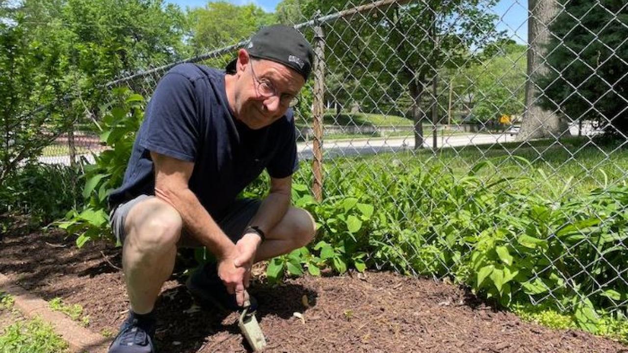 Dr. Barry Goldman digging in a garden.