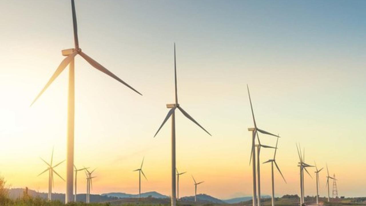 Windmill farm at sunrise.