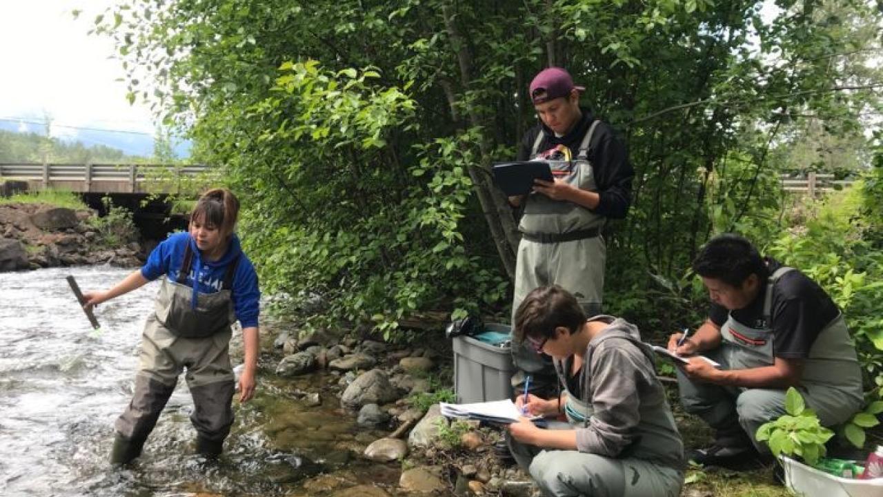 Community members sample the Skeena sub-watershed in Smithers, British Columbia.