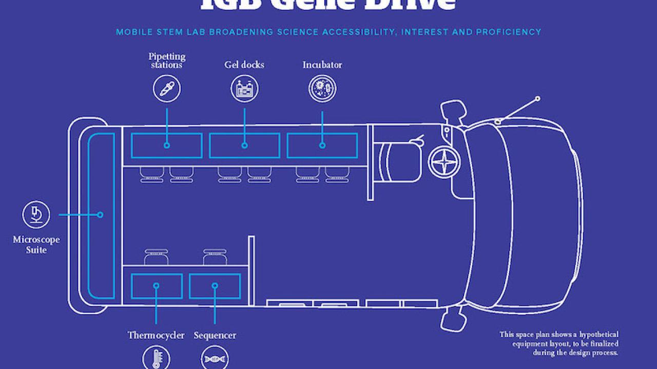 Diagram of IGB Gene Drive