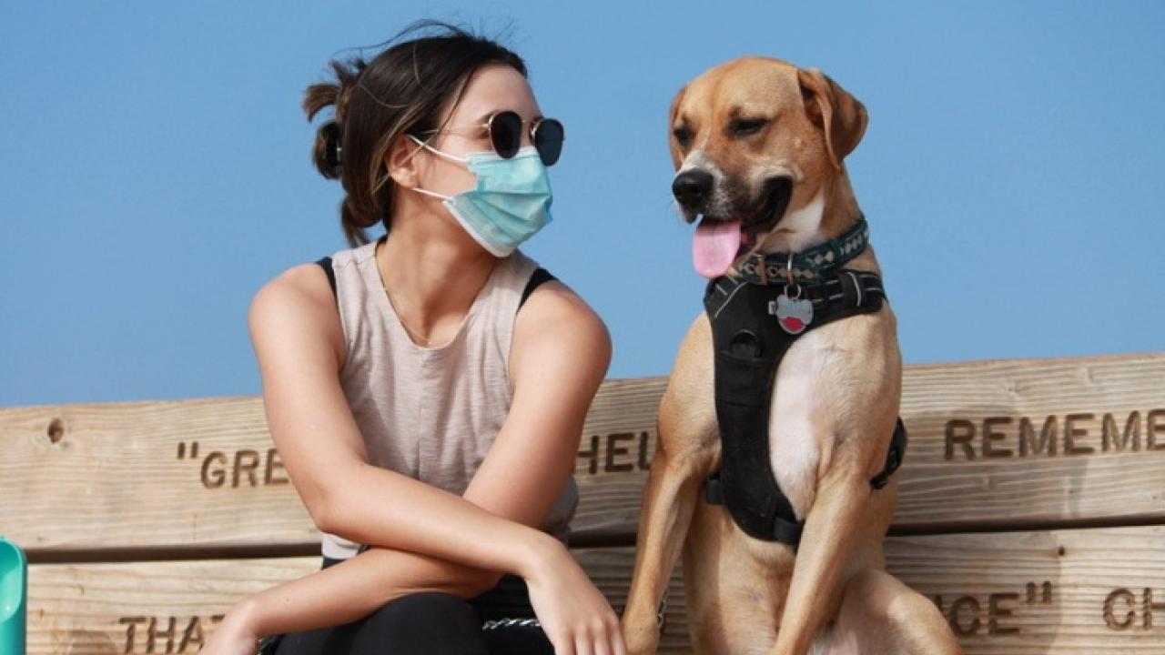 Rachel and her dog seated on a bench.