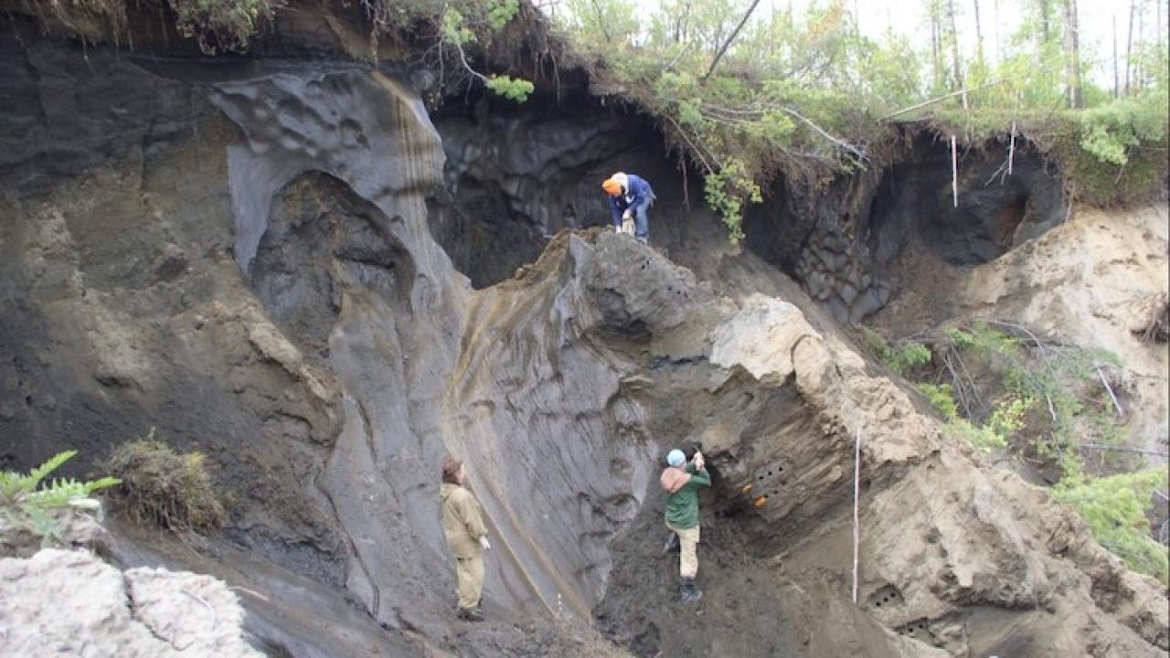 Mountain climbers on the side of a hill.