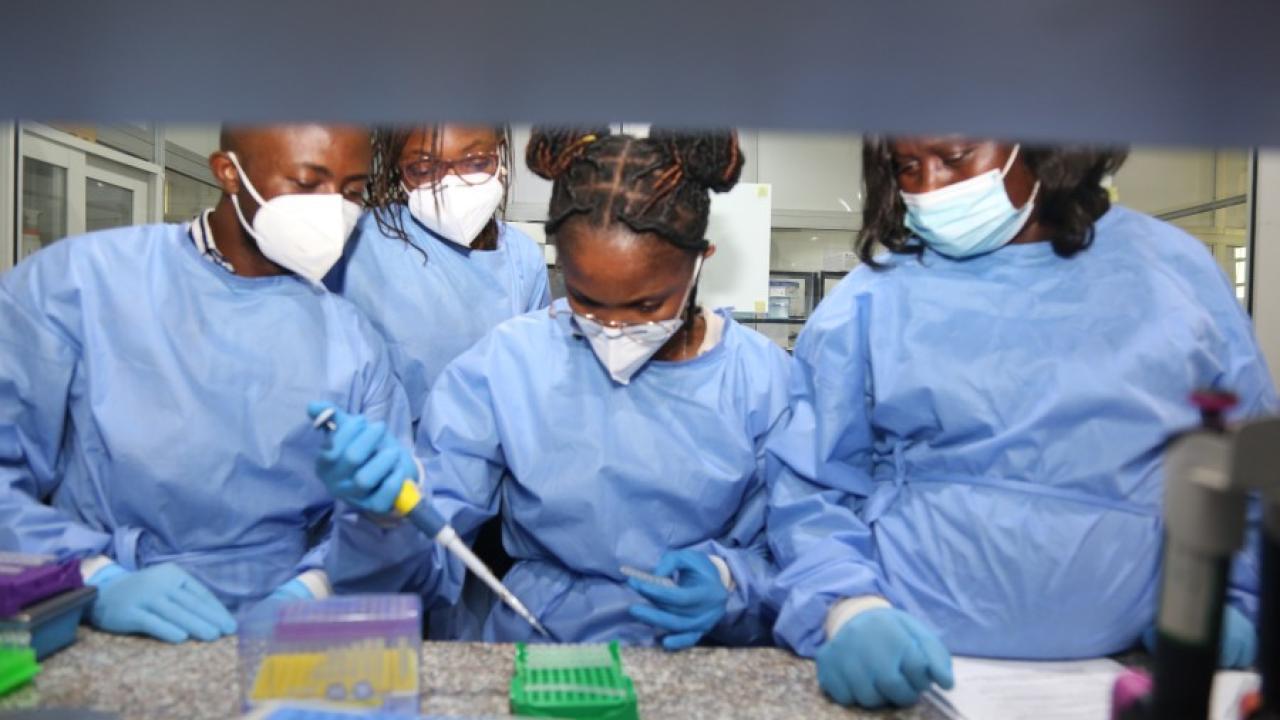 Scientists in Africa being trained in genomics.