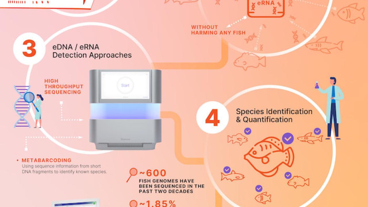 Info card detailing the health of Marine ecosystems using genomics.