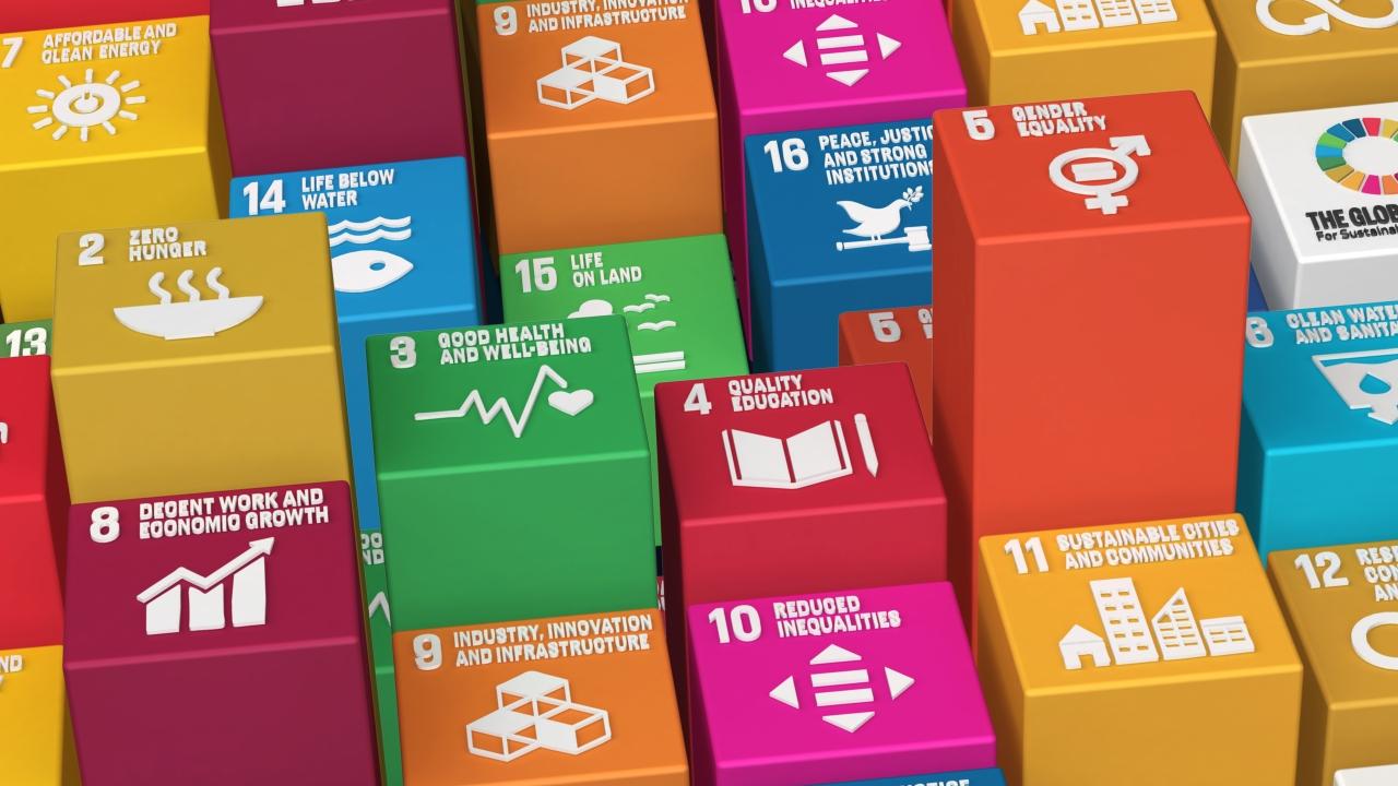 Impact 2030 Sustainable Development Goals Infograph