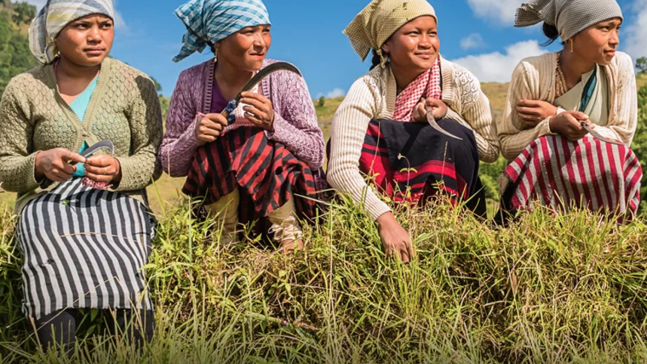 Four women sitting outside in the grass