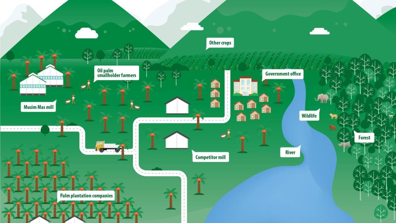 drawn map of town