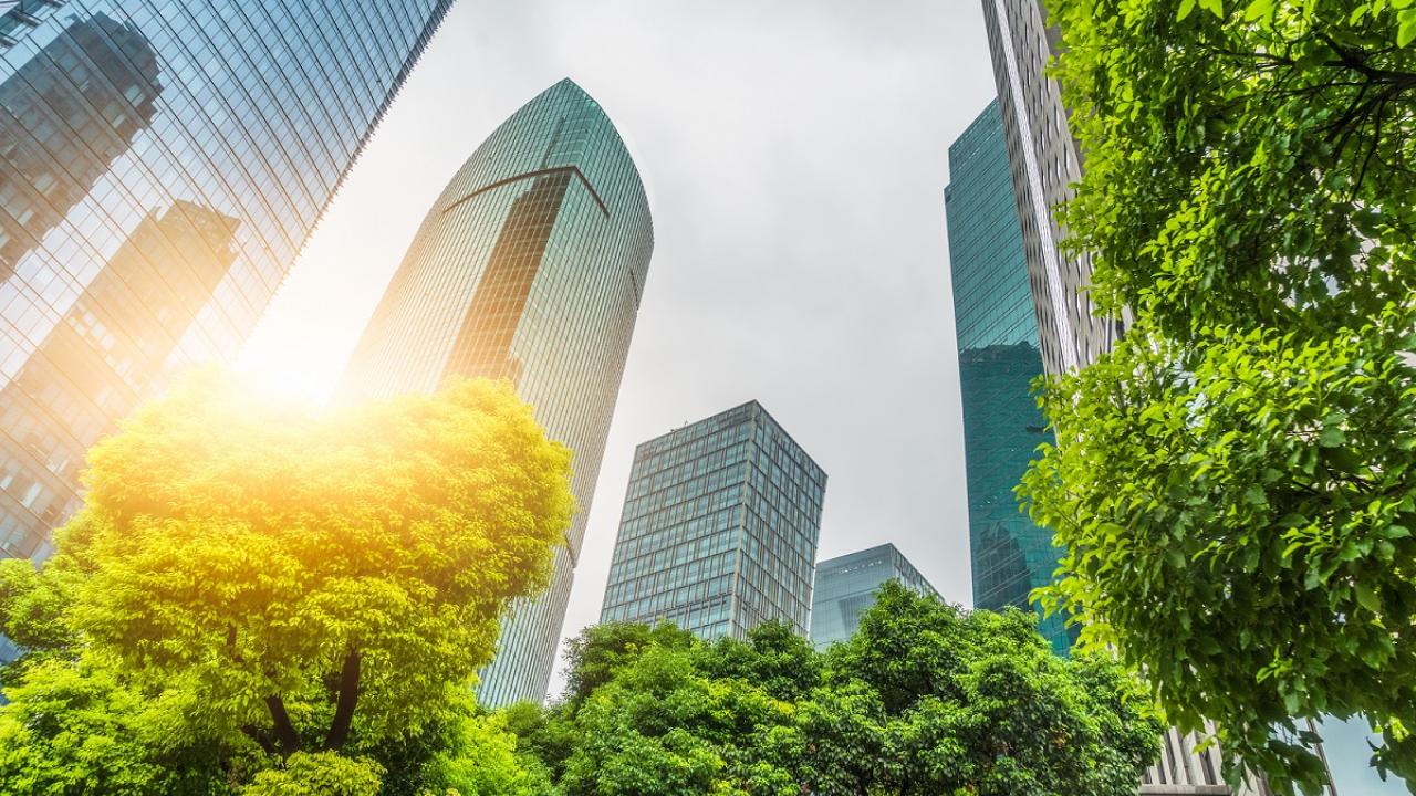 cityscape and trees