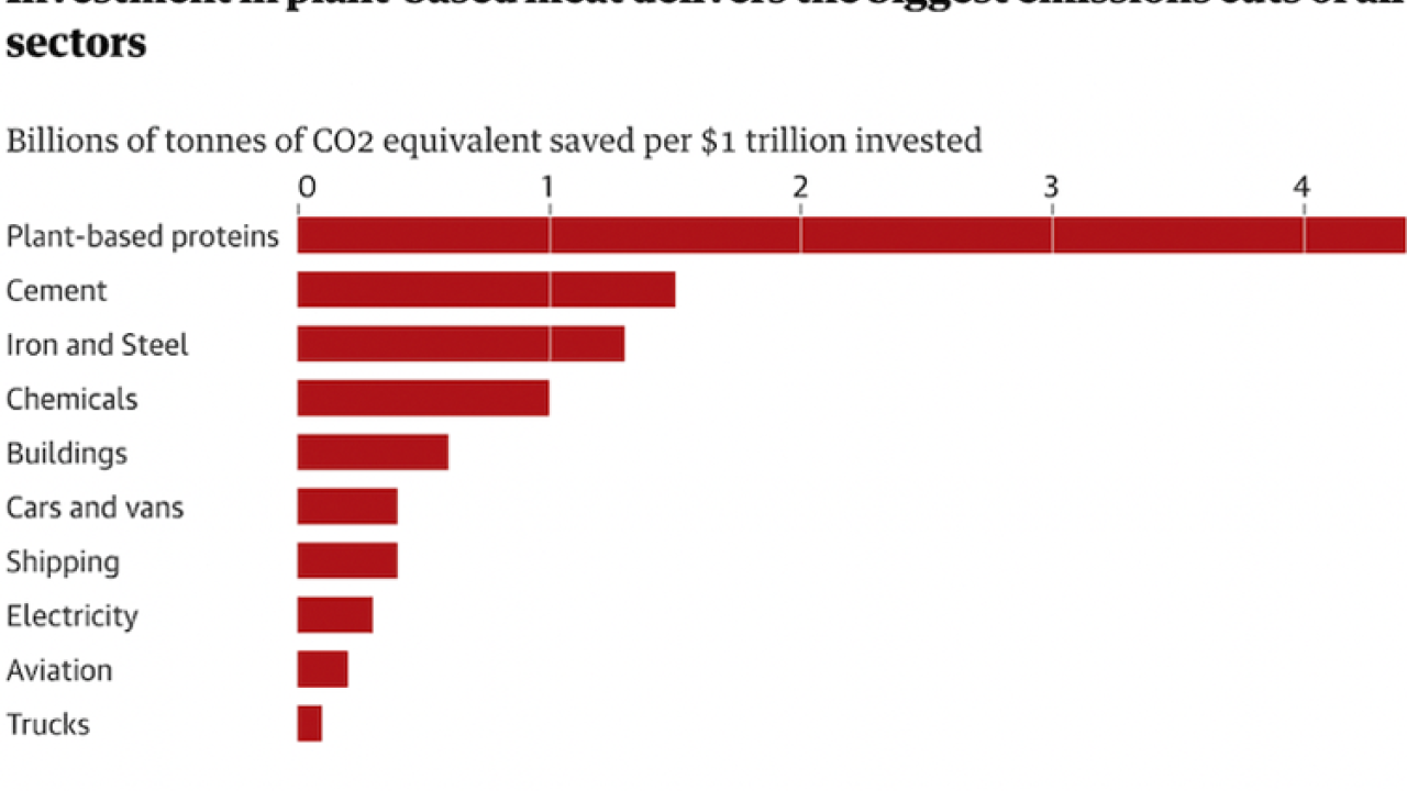 Investment in Plant-based Proteins