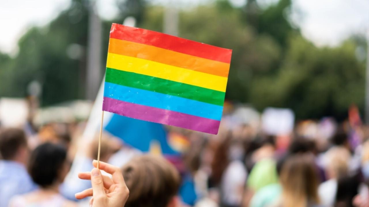 hand holding Pride flag