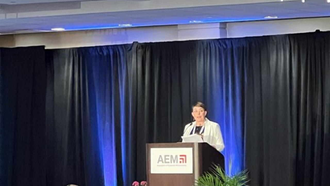 A person stood behind a podium giving a speech 