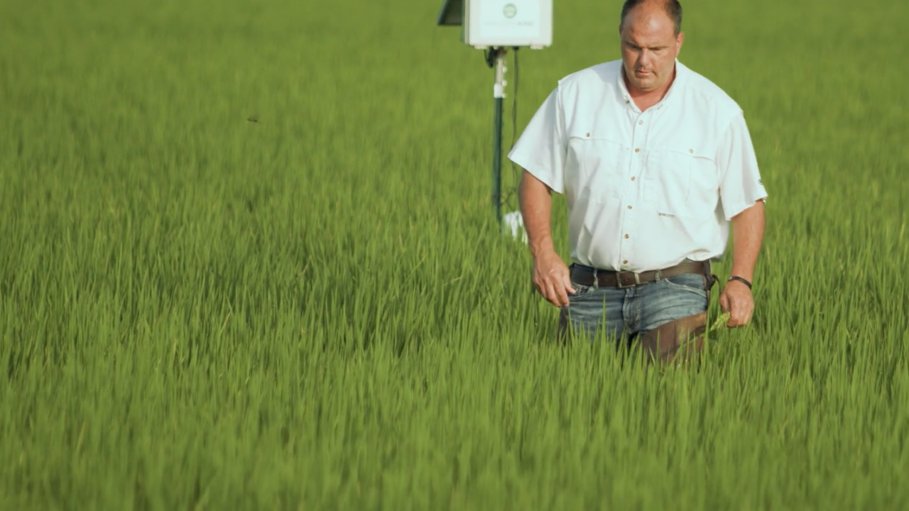 " "