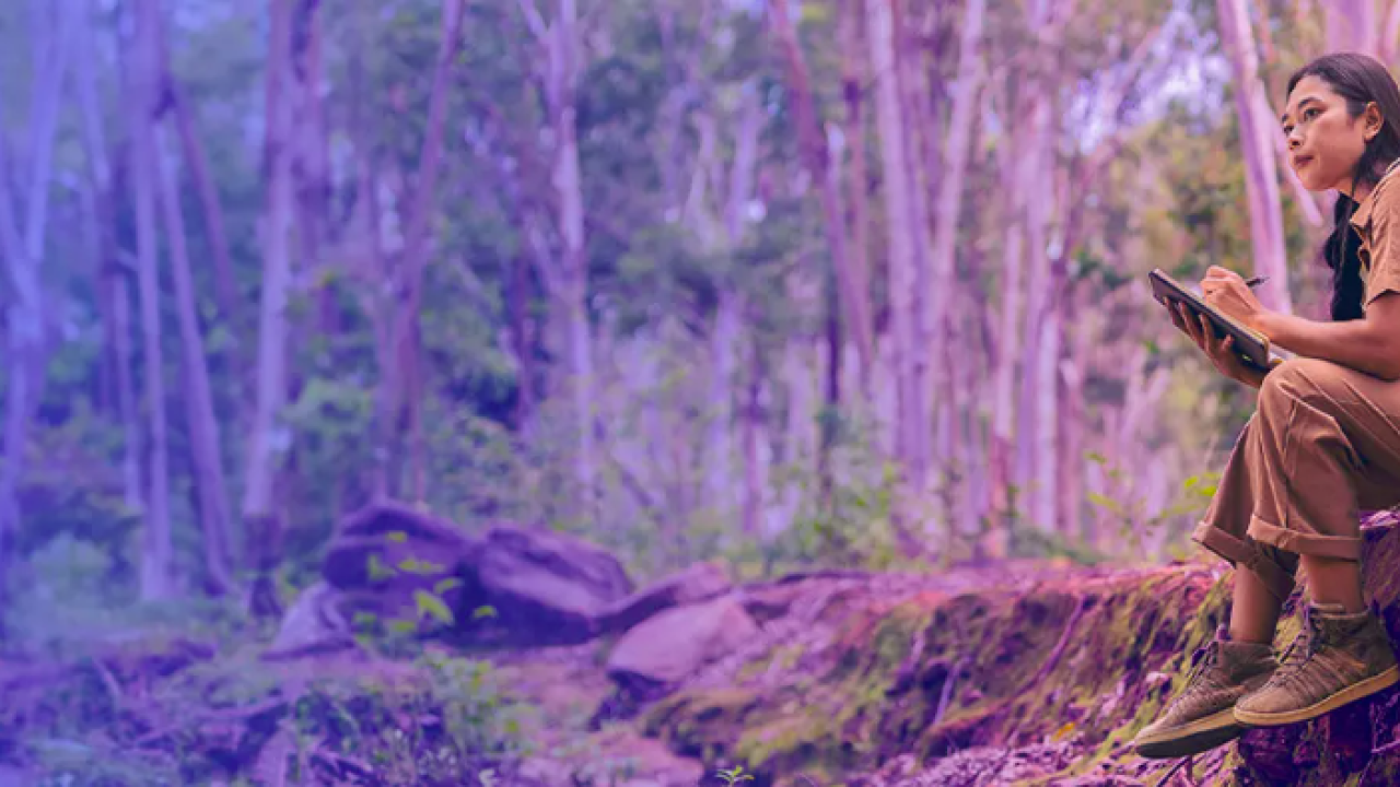 woman writing notes in the forest
