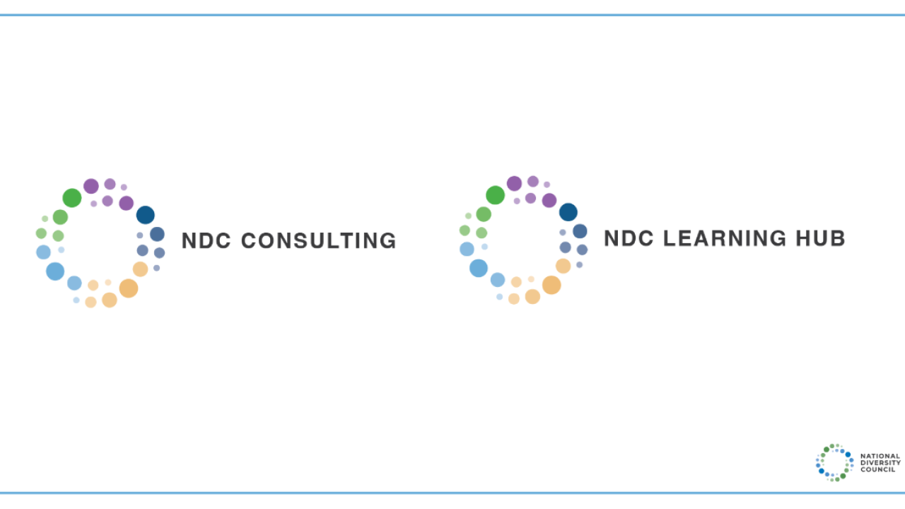 Colorful circle logo for NDC Consulting and NDC Learning Hub