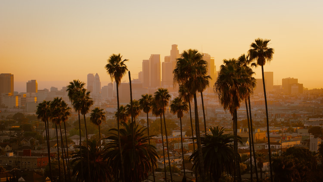 LA cityscape shown with fires burning in the background.