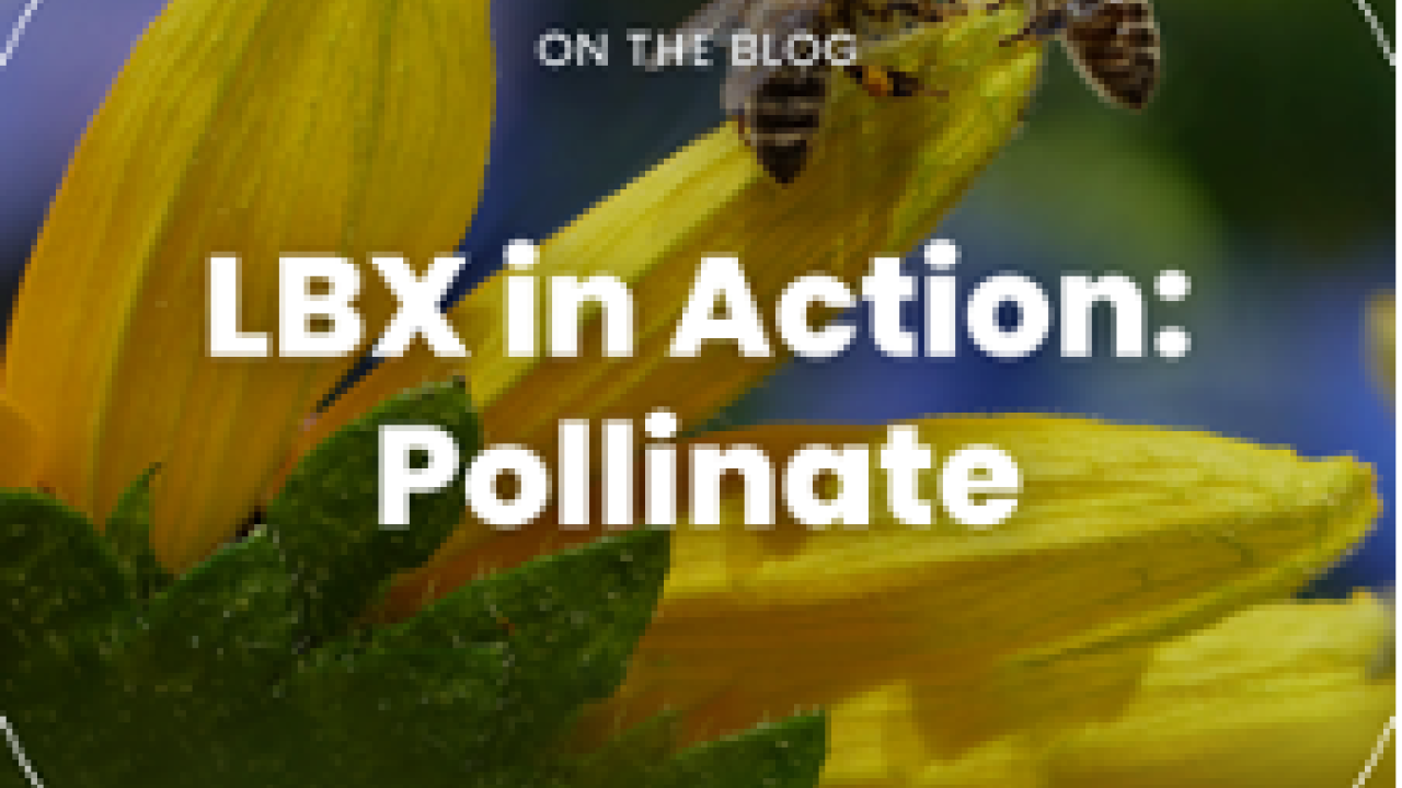 Bees on a flower. Reads LBX in Action: Pollinate
