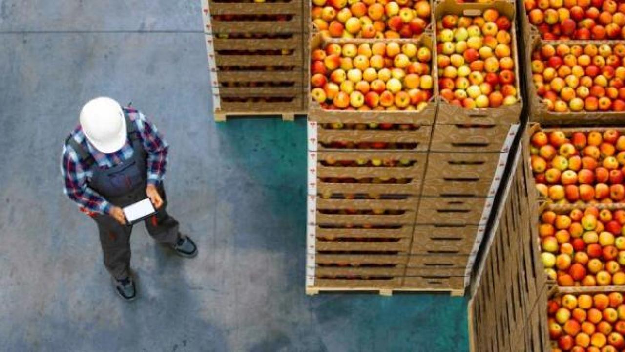 Worker in Apple Warehouse