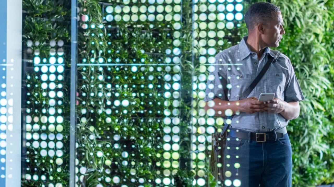 person standing in front of a living wall