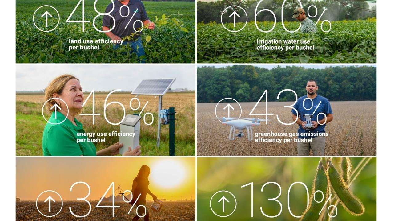 Infographic with people in fields