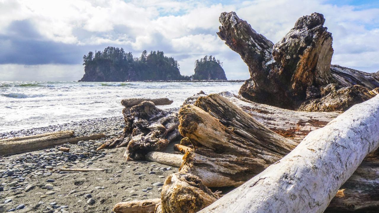shoreline of the Pacific Ocean