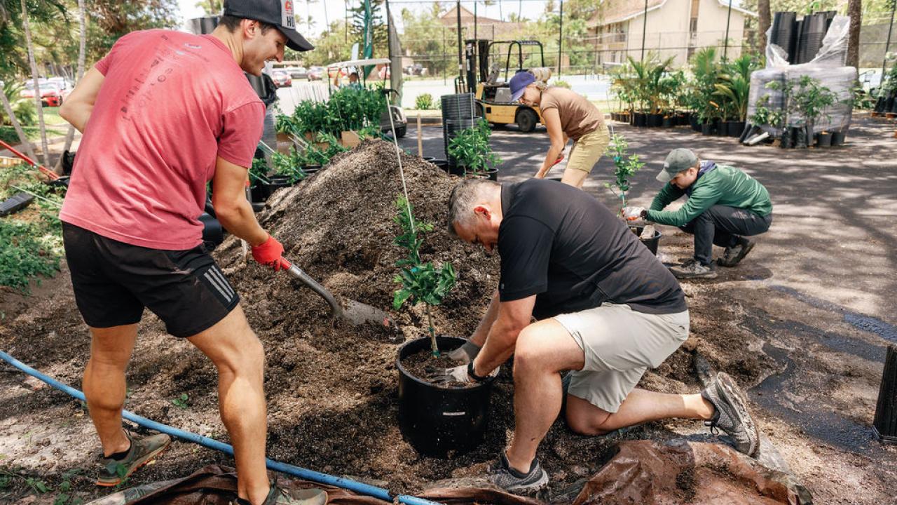 Arbor Day Foundation CEO Dan Lambe helps prepare trees for distribution in Lahaina, Hawaii, two years after devasting wildfires. The Foundation distributed more than 580 trees alongside its local planting partner The Outdoor Circle, in collaboration with Treecovery Hawaii, and The Royal Lahaina Resort & Bungalows.
