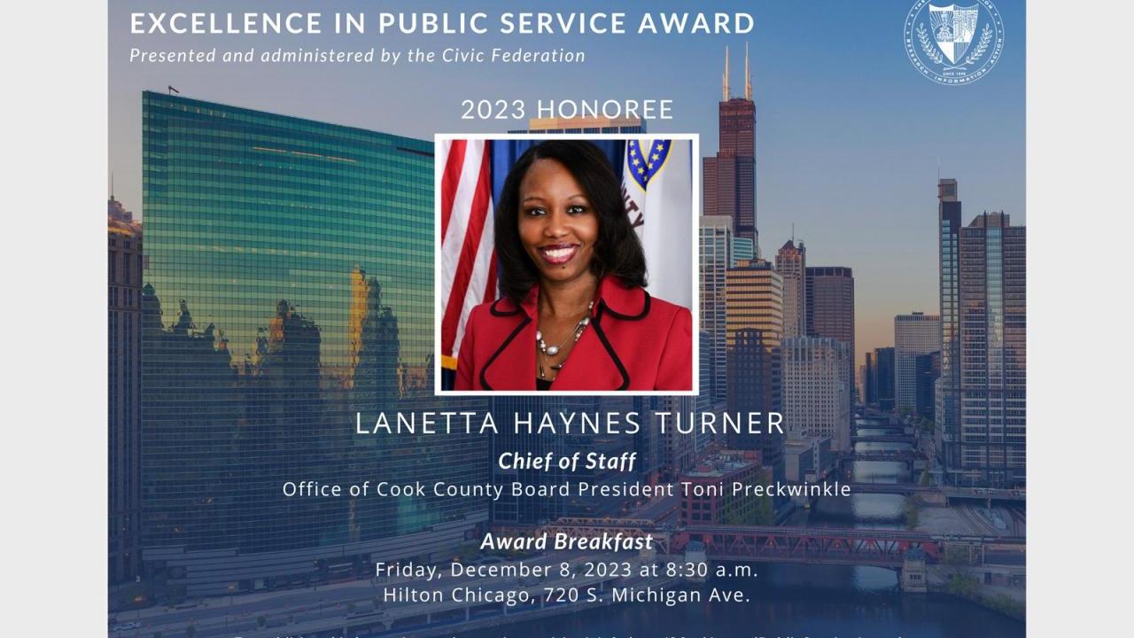 Excellence in public service award: Lanetta Haynes Turner