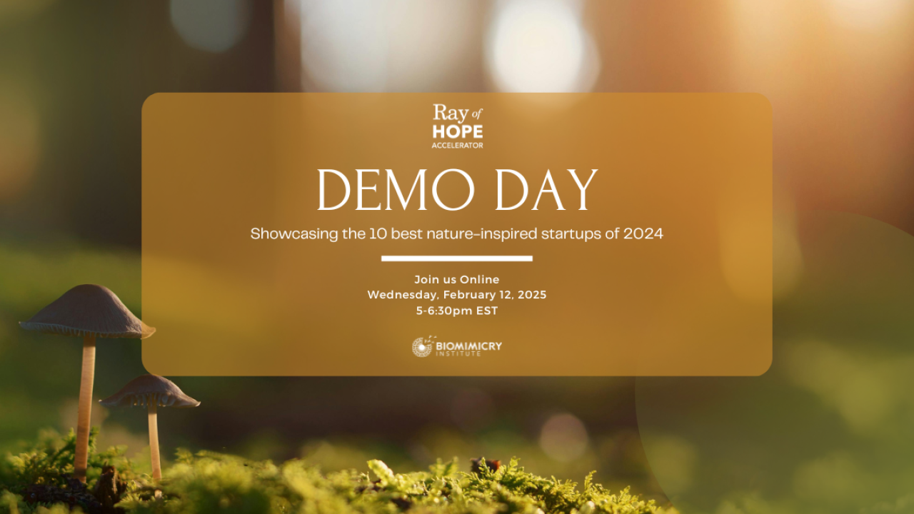 Demo Day promo with time and dates