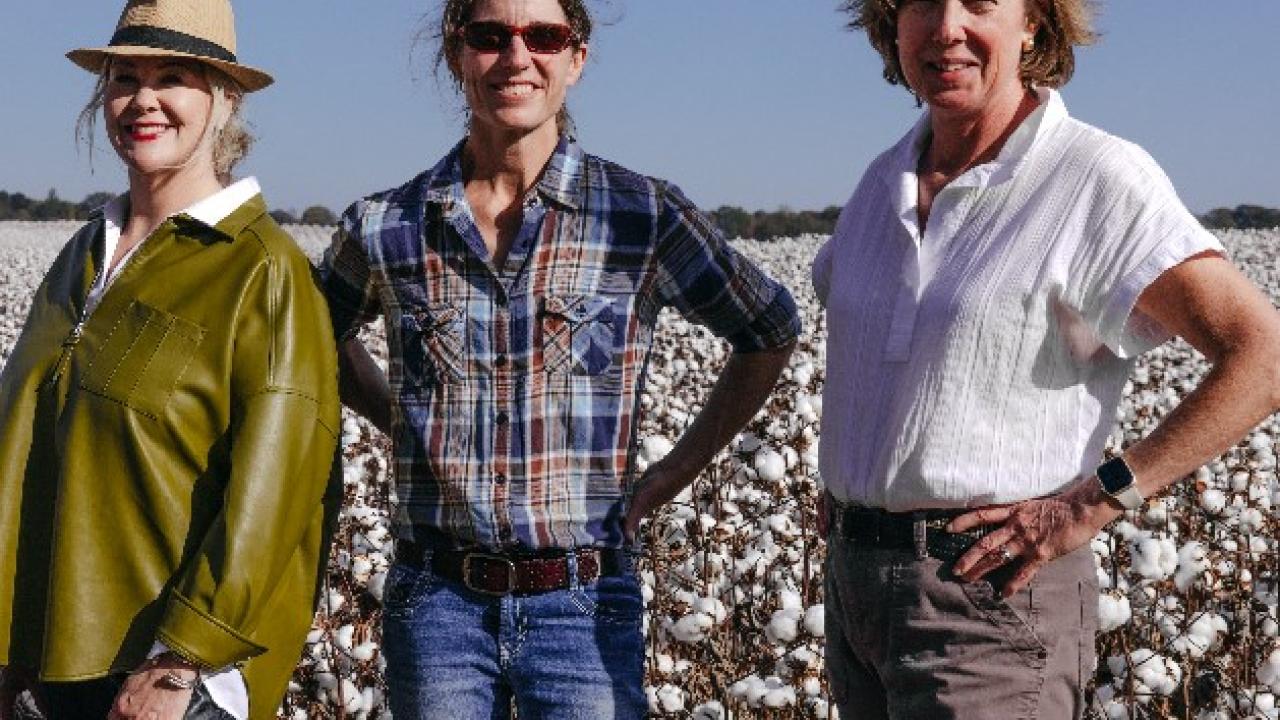 Three people posed in a field of cotton crops.