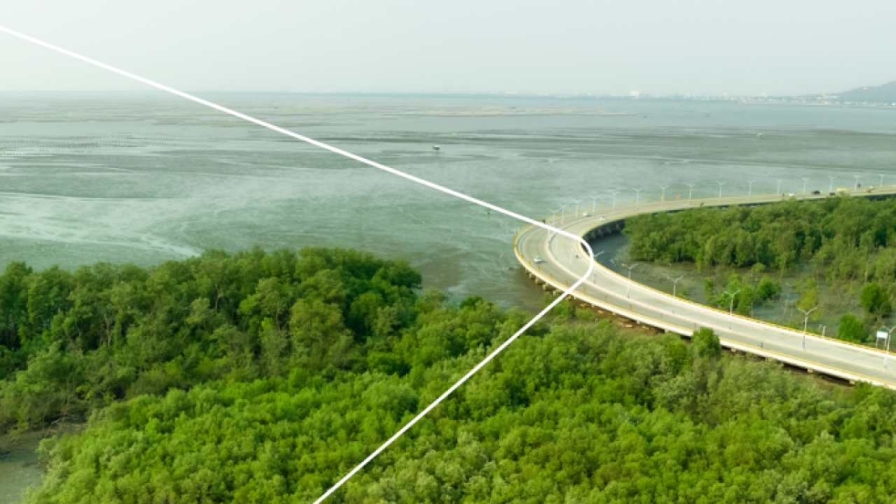Photo of cars driving on a road surrounded by trees near water