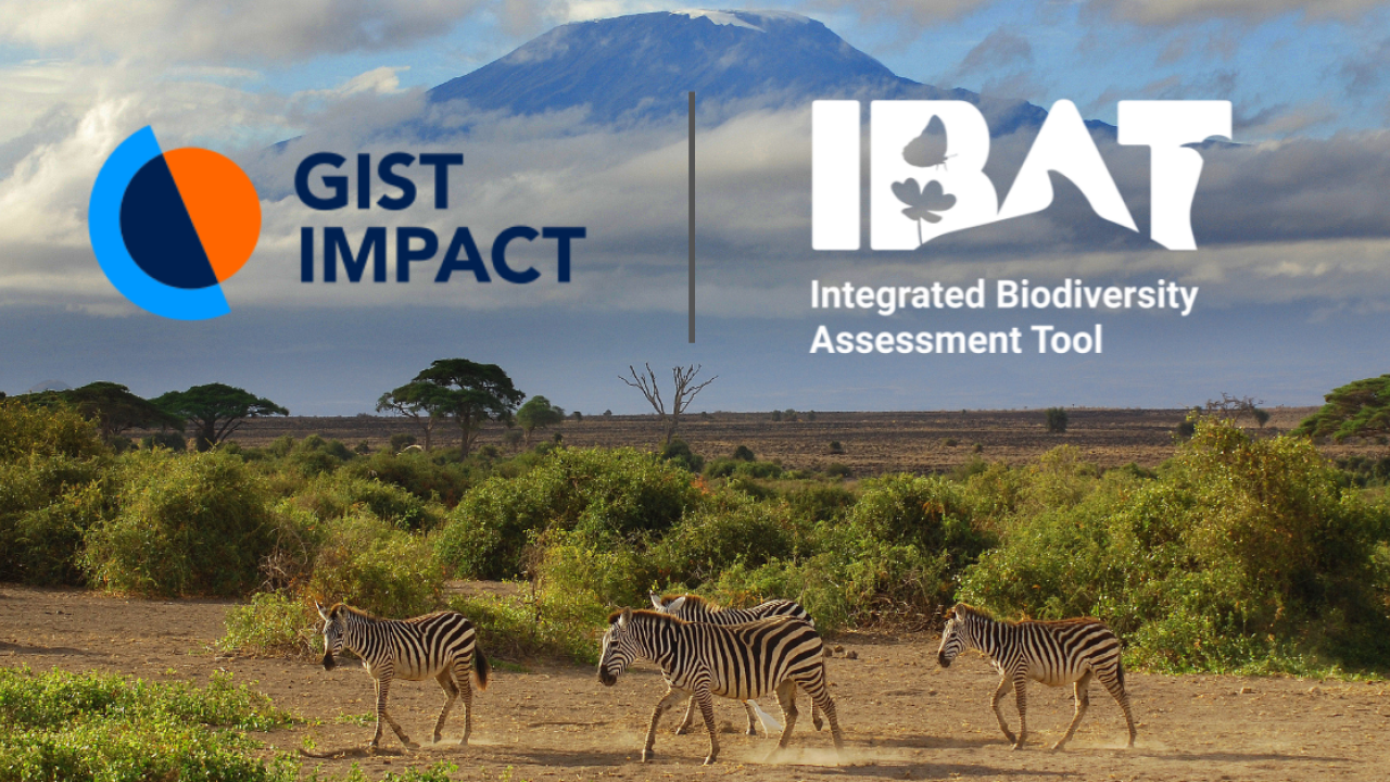 The GIST Impact and IBAT logos set against a backdrop of Kilimanjaro.