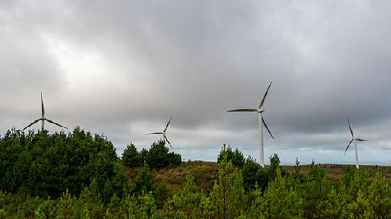 Galway wind turbines