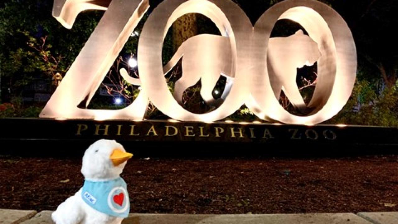 My Special Aflac Duck at the Philadelphia Zoo.