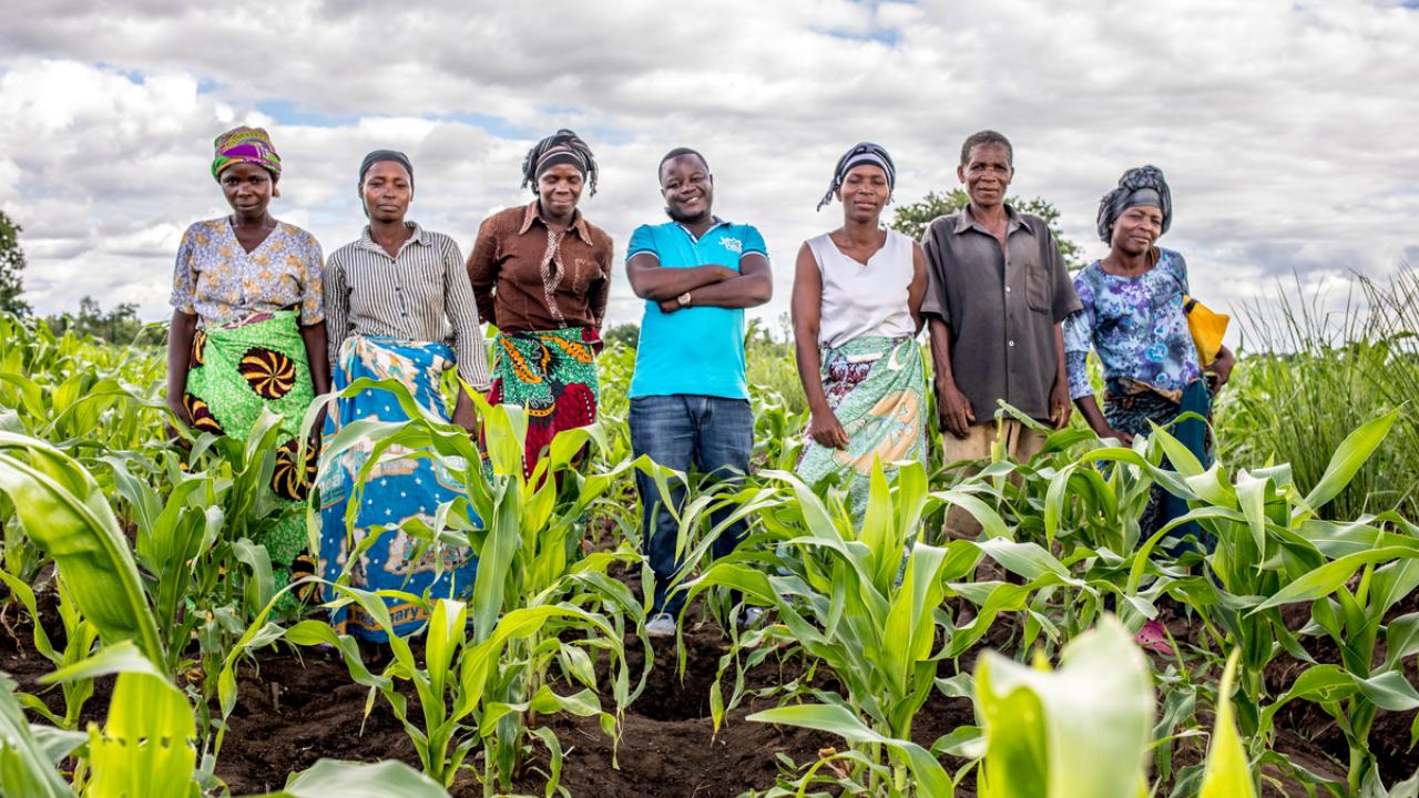 Community members in a field in Malawi.