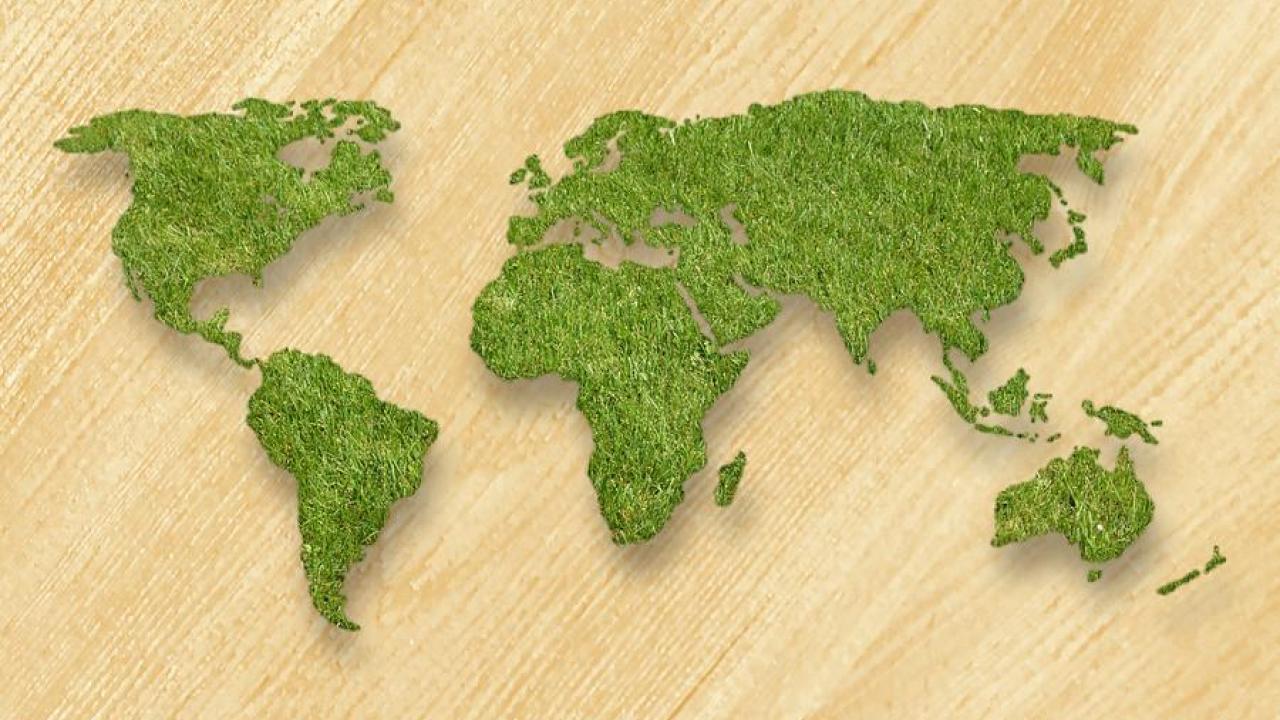 Green World Map