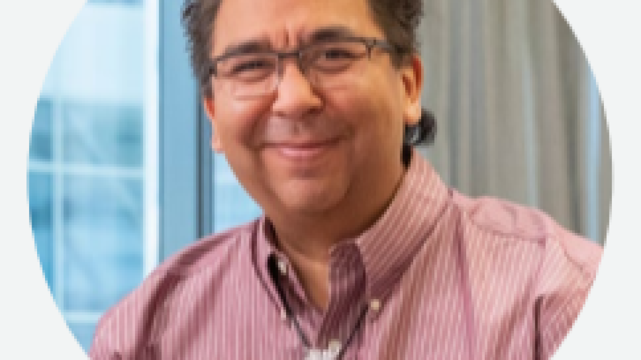 Mark Shilliday