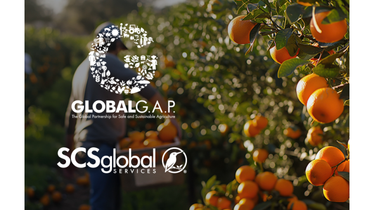 SCS Complimentary Webinar: Mastering GLOBALG.A.P. IFA V6: Tools & Resources for Growers