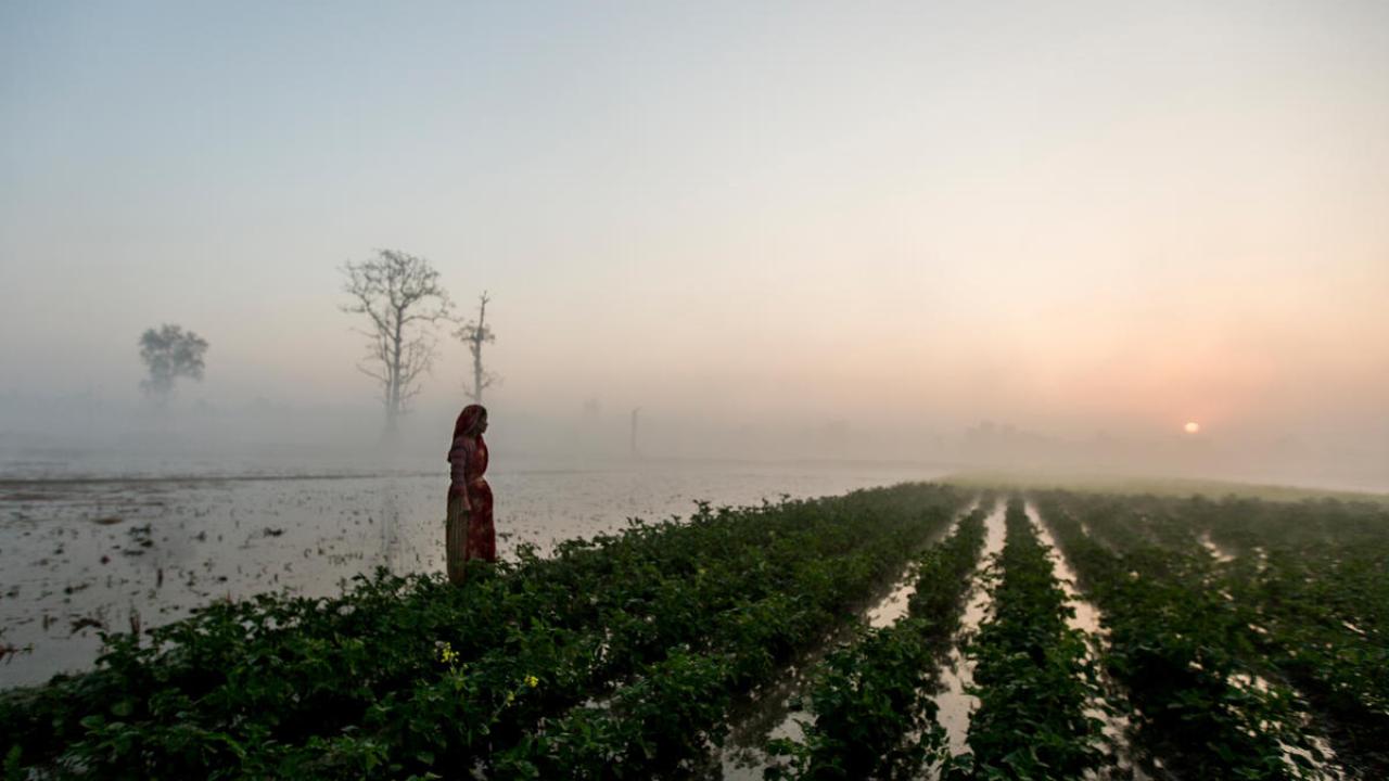 woman stands in her farm at sunrise