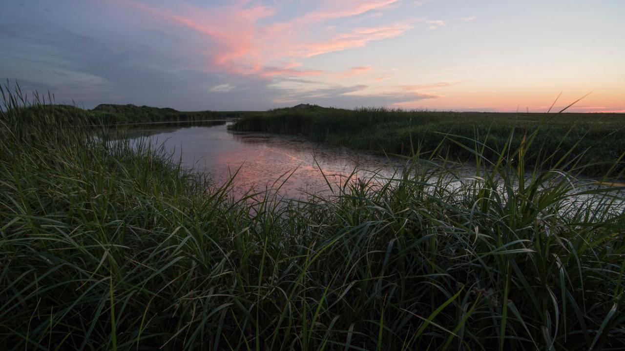 a pond surrounded by grasslands