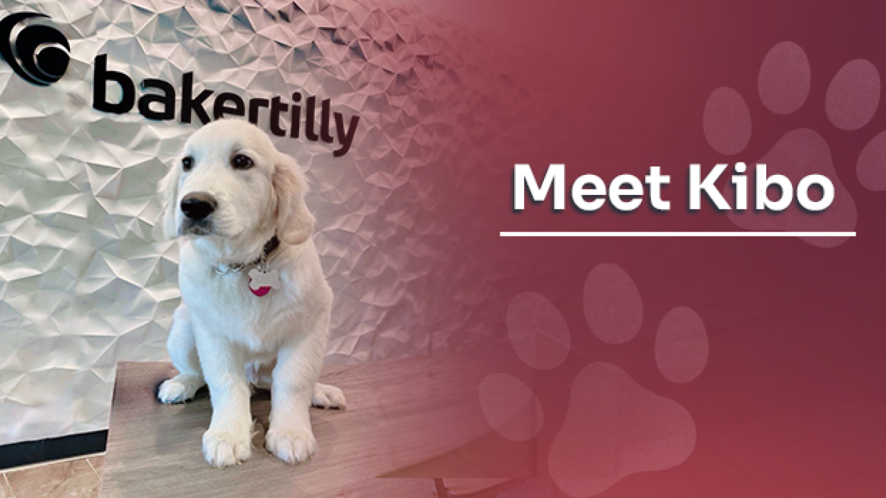 "Meet Kibo" with image of dog