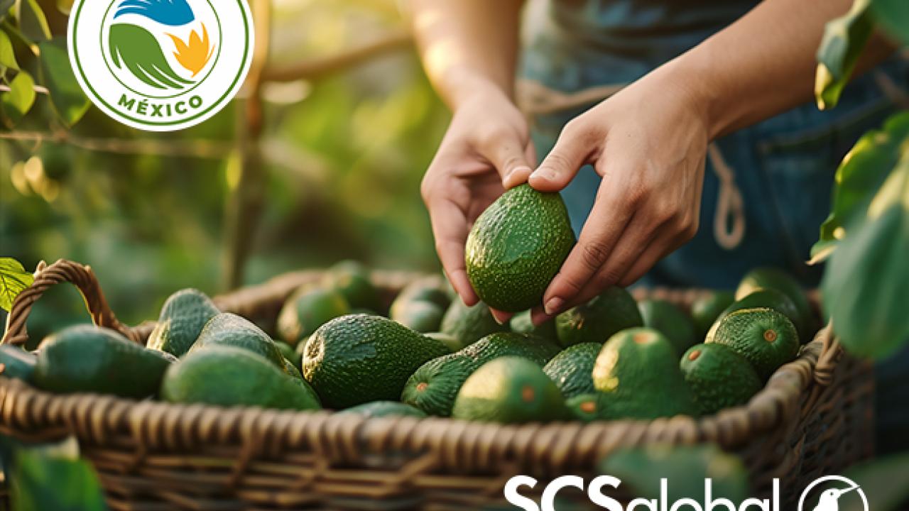 SCS México Approved for Organic Certification Under LPO