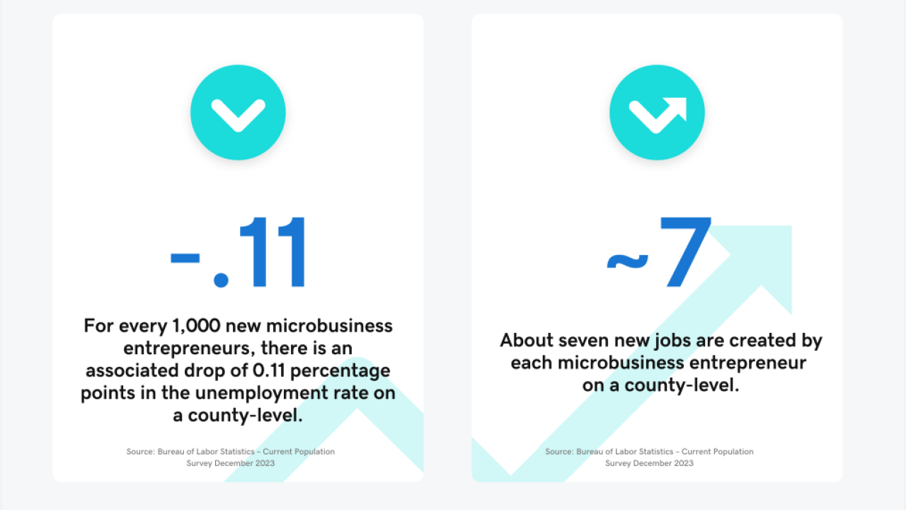 Chart showing impact that microbusinesses have.