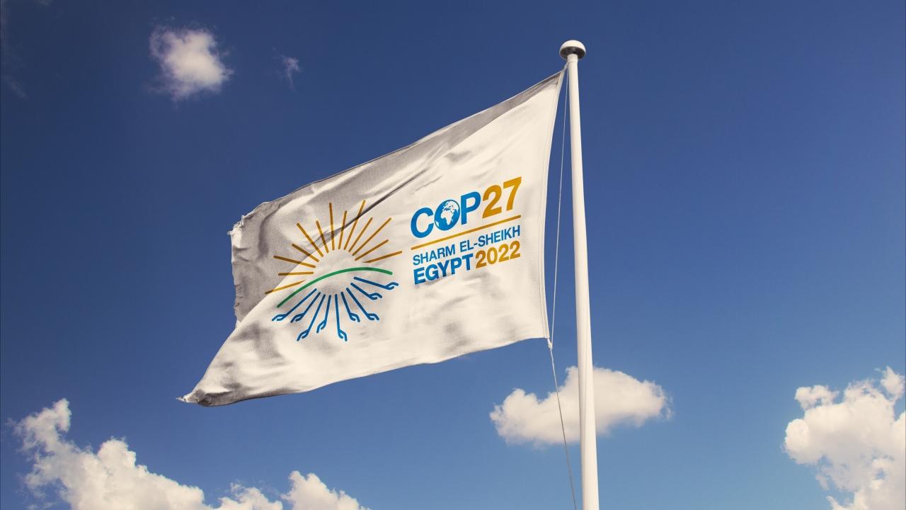 COP27 Flag