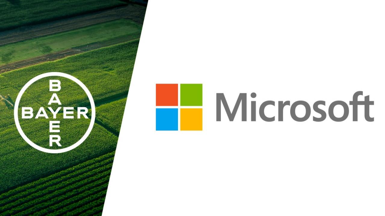 Bayer and Microsoft logos together, a white diagonal line between them.