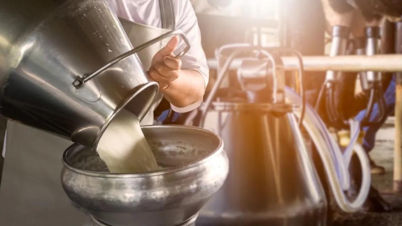 milk being poured in a factory