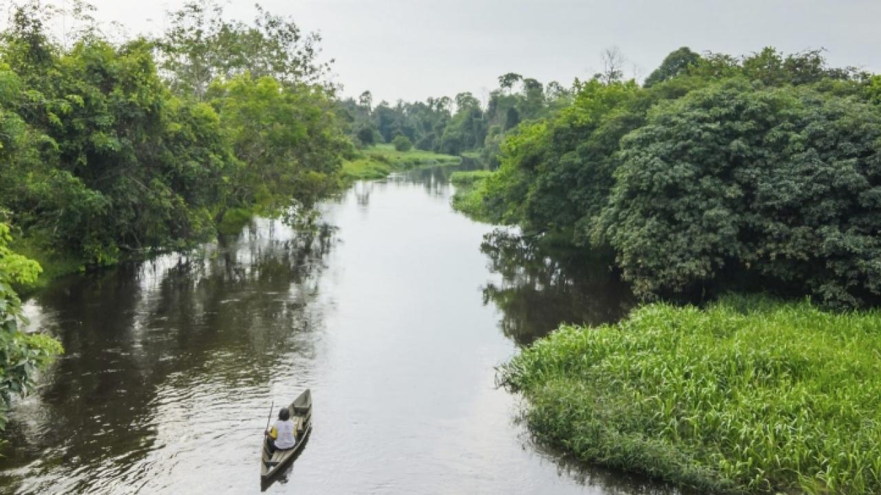 boat floating down a river in the jungle