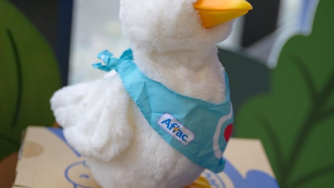 My Special Aflac Duck
